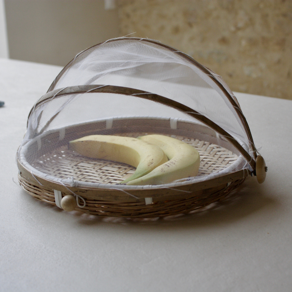 cloche alimentaire