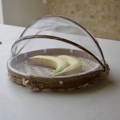 cloche alimentaire